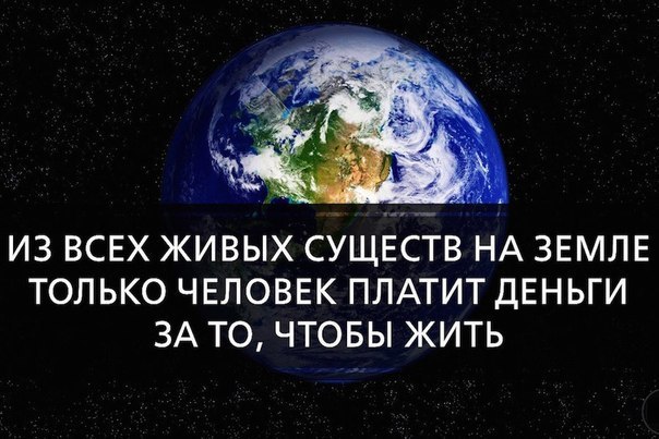   - 23  2015  13:05