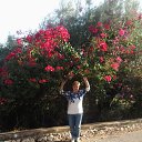  Nadejda, - -  31  2015