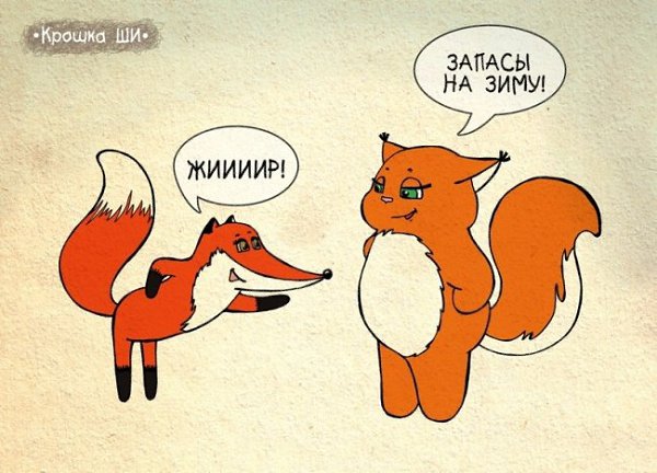 20 комиксов с девичьей правдой от белки Ши. Обаятельную толстушку с кисточками на ушах придумала ... - 17
