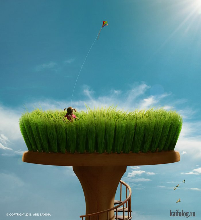   (Anil Saxena) -       ().   ... - 21