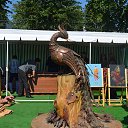 ���� ����, �������, 67 ��� - ��������� 20 �������� 2015 � ������ �������� ���� ��������� � ��������