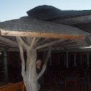  Lyudmila,  -  26  2015    