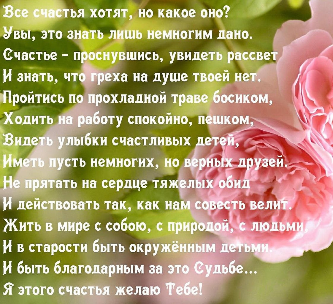   - 2  2015  19:30