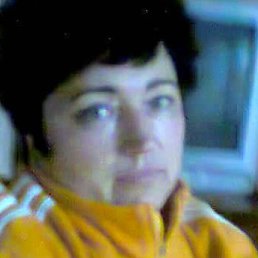 �������, ����, 66 ���