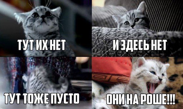 А тут нет никого. А тут нет никого