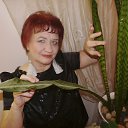  , -, 70  -  30  2015    