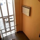 ���� Mel, �����, 36 ��� - ��������� 25 ������ 2015 � ������ ������ ��������