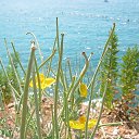 ���� ���������, �����������, 69 ��� - ��������� 19 ������� 2015 � ������ ������������