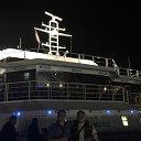  , , 38  -  10  2015    2015