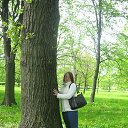 ���� ������, �����-���������, 41 ��� - ��������� 9 �������� 2015 � ������ ���� ����������