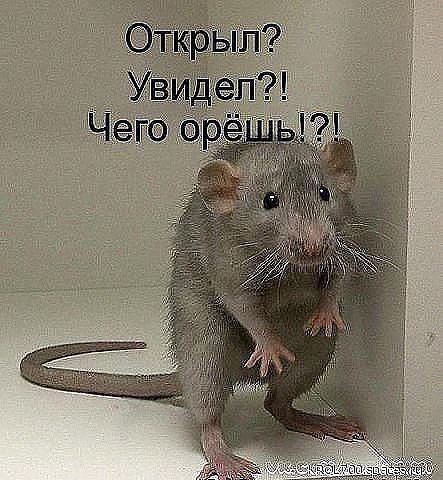          ?????? - 2
