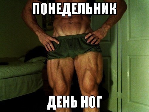 SportFeed - 19  2015  03:50