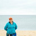  ,  , 67  -  29  2015    2015