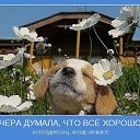 ���� �����, ������, 73 ���� - ��������� 21 �������� 2015 � ������ ������ ��������