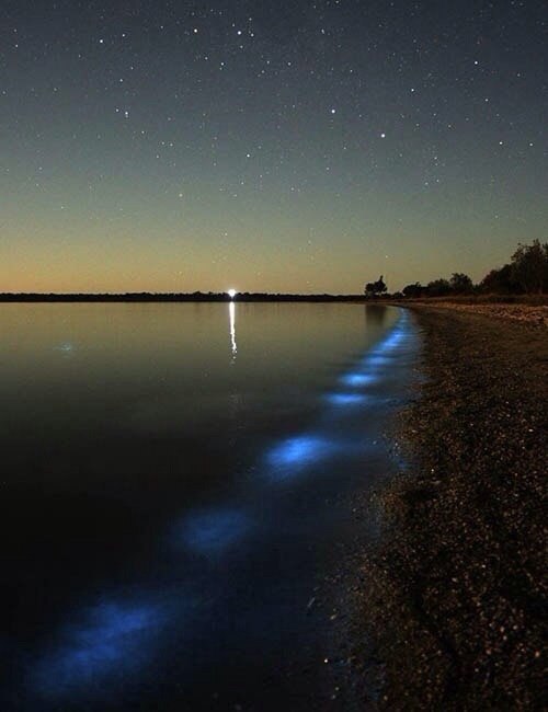 .#@https://fotostrana.ru/away?to=/sl/XE2 - 2