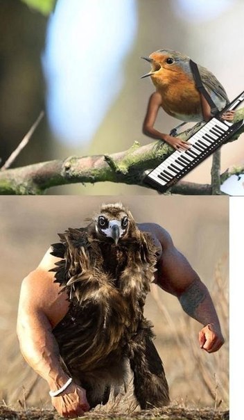  - 6
