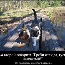 ���� �����, �����, 48 ��� - ��������� 23 ������� 2015 � ������ �14�