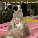 ���� �����, ������, 56 ��� - ��������� 3 ������� 2015 � ������ ������ ��������