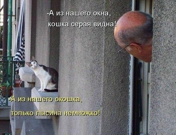       - 20  2015  04:02