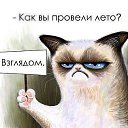 ���� �����, ������� - ��������� 31 ������� 2015 � ������ ������ ��������