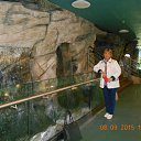 ����������. �� ������� ���� ����������