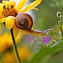 ���� Vikont, �����, 56 ��� - ��������� 20 ���� 2015 � ������ �������