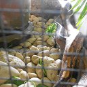    -  ,  -  4  2015    2014.  .  3-.