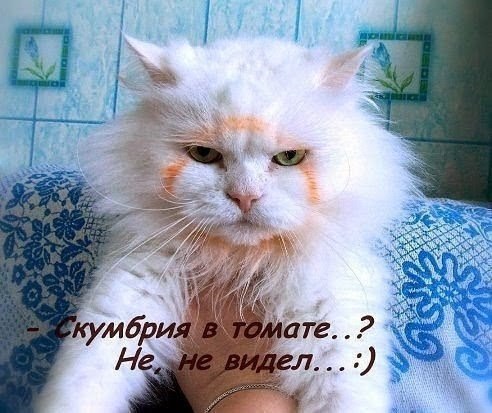   | , ,  - 9  2015  14:01
