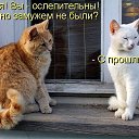 ���� �������, �����-���������, 54 ���� - ��������� 19 �������� 2015 � ������ ������� �������