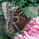 ���� �����, ����, 82 ���� - ��������� 6 ������� 2015 � ������ �����ۻ