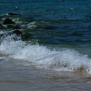 ���� Petyunya, ����, 41 ��� - ��������� 19 ������� 2015 � ������ ���������-�����