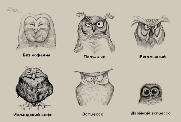 Art & Fun - 18  2015  21:39