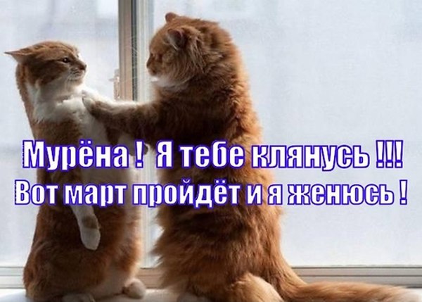   - 24  2015  10:43