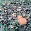 ����� 2015 �� ������� ���� ����������