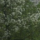  ,  -  21  2015     .