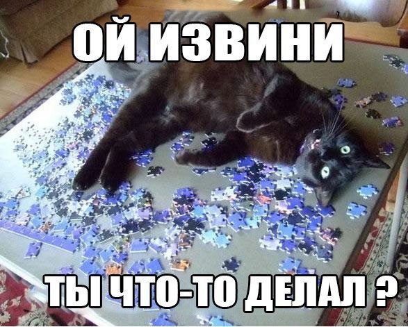   - 14  2015  08:02