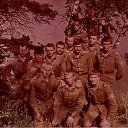 ���� ����, ������������, 69 ��� - ��������� 10 ������ 2015 � ������ ���