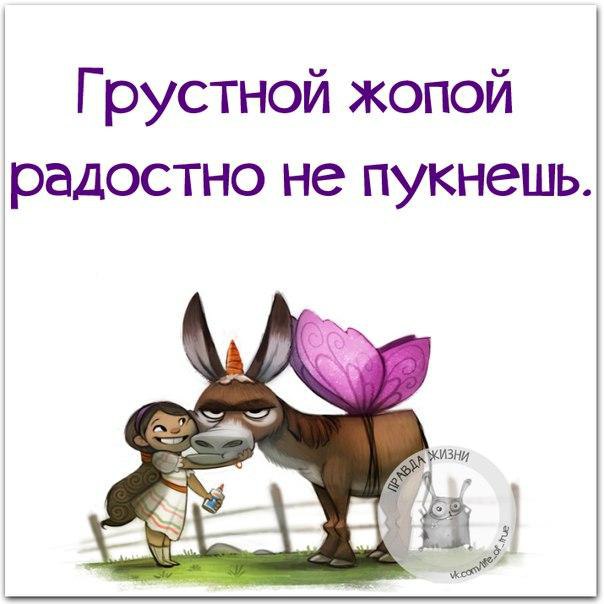   - 10  2016  12:15