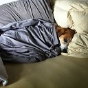 ���� ����, ��������� - ��������� 19 ������� 2016 � ������ ���� ����������