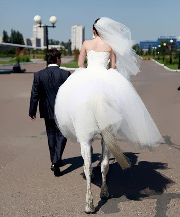 ������� - 30 ������� 2015 � 16:18