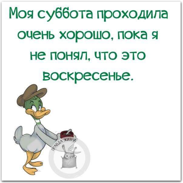   - 12  2016  23:24