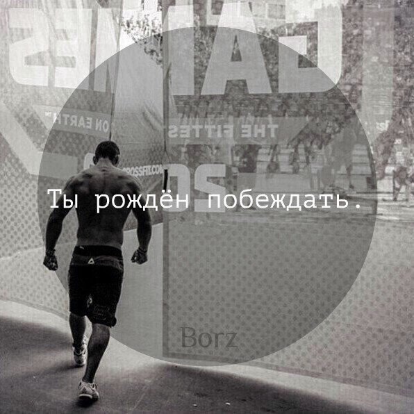  -   - 9  2016  10:33