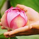 ���� ������, ������, 52 ���� - ��������� 11 ������ 2016 � ������ ������ ��������