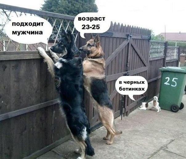    - 20  2015  12:20