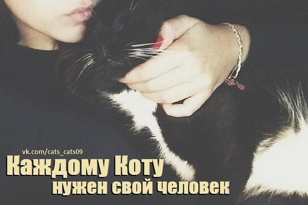 .https://fotostrana.ru/away?to=/sl/kxC2 - 1  2016  14:15