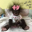 ���� Soudani Mahmoud, ����, 43 ���� - ��������� 10 ������� 2015 � ������ ������ ��������
