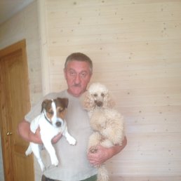 ���� ������, ������, 67 ��� - ��������� 29 ������ 2015