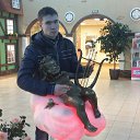 ���� �������, �����-���������, 34 ���� - ��������� 17 ������ 2016 � ������ ���� ����������