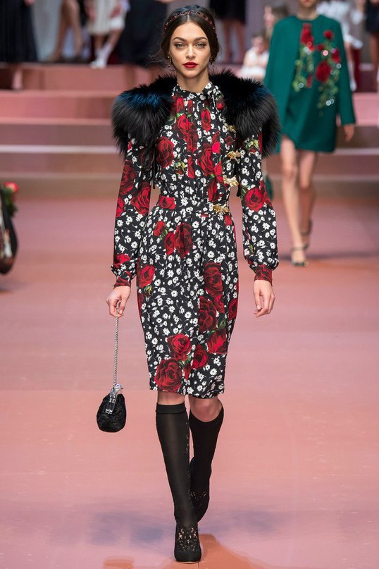 Dolce & Gabbana Ready-to-Wear FW 2015/16