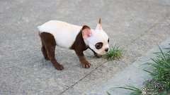 ��������� ����� � ����� - 4